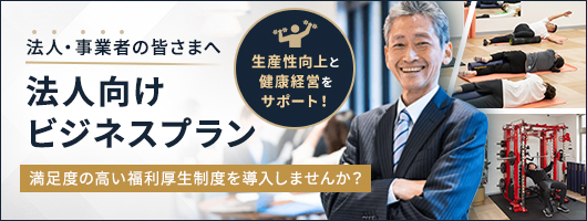 法人向けビジネスプラン