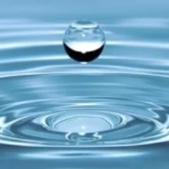 水の重要性